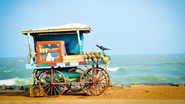 India Unplugged: Exploring on a Budget - Coastal Escapes
